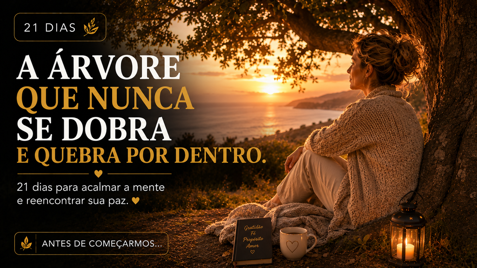 Dia 10